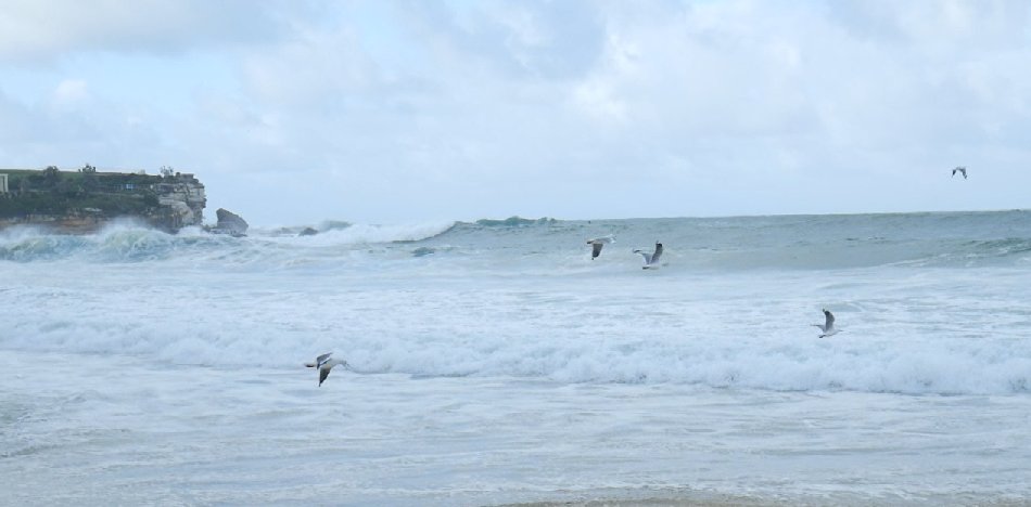 Surf at Coogee Beach, looking north