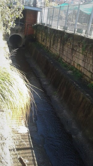 Coogee Stormwater Channel, Dolphin Street