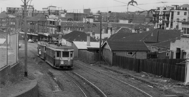 Tram from Coogee Beachentering Havelock Avenue Cutting, 1953